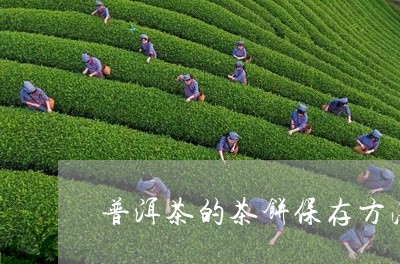 普洱茶的茶饼保存方法/2023100735059