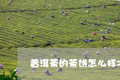 普洱茶的茶饼怎么样才好/2023122012694