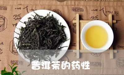 普洱茶的药性/2023042613081