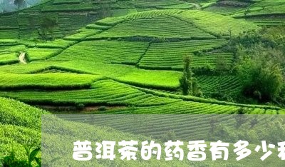 普洱茶的药香有多少种/2023093071795