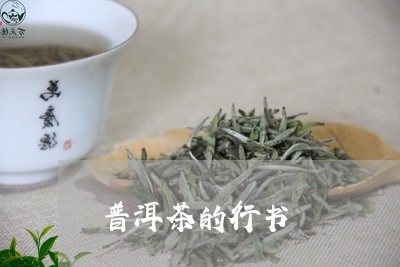 普洱茶的行书/2023042684874