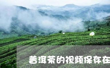 普洱茶的视频保存在哪里/2023121728451