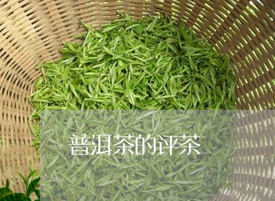 普洱茶的评茶/2023042895350