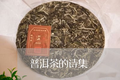 普洱茶的诗集/2023042826151