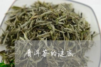 普洱茶的谜底/2023042719760