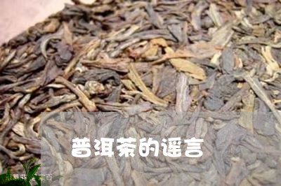 普洱茶的谣言/2023042899790