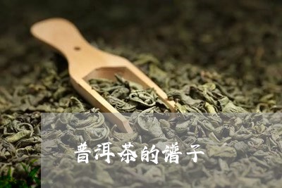 普洱茶的谱子/2023042889895