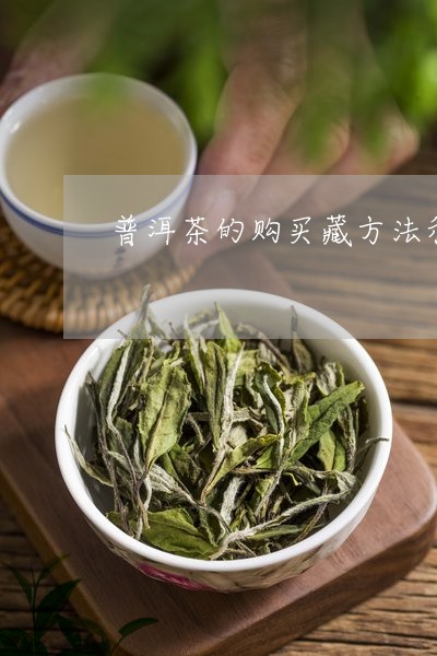 普洱茶的购买藏方法和步骤/2023122098050