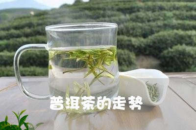 普洱茶的走势/2023042982095