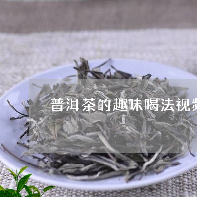 普洱茶的趣味喝法视频教程/2023121706261