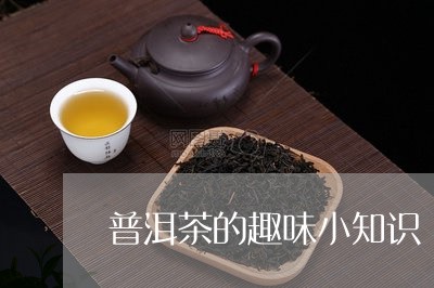 普洱茶的趣味小知识/2023091582693