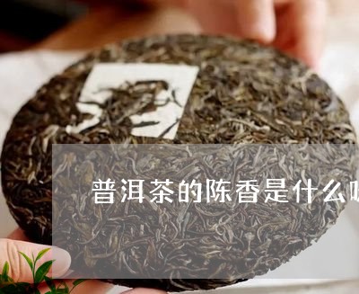 普洱茶的陈香是什么味/2023092809673