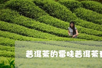 普洱茶的霉味普洱茶有霉味怎么办/2023060385068