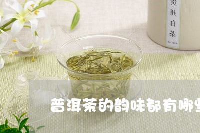 普洱茶的韵味都有哪些/2023062596060