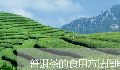 普洱茶的食用方法图解/2023062899494