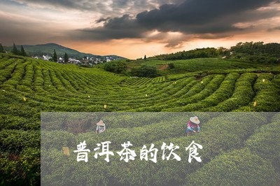 普洱茶的饮食/2023042642214