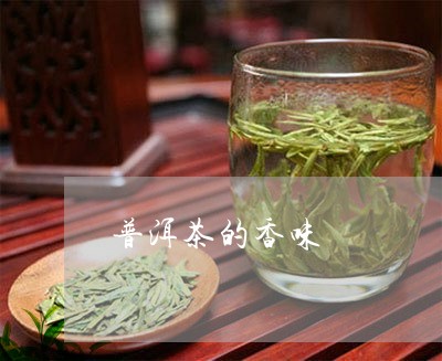 普洱茶的香味/2023042952341