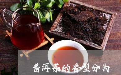 普洱茶的香型分为/2023082666048