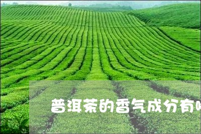 普洱茶的香气成分有哪些种类/2023082669594