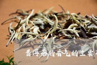 普洱茶的香气的主要有/2023092996481