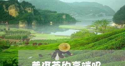 普洱茶的高端吗/2023121706248