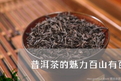 普洱茶的魅力百山有百味/2023110169360