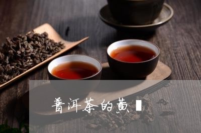 普洱茶的黄酮/2023042751212