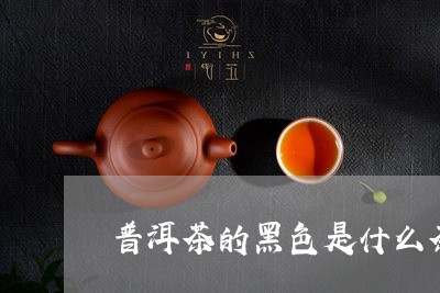 普洱茶的黑色是什么茶啊/2023110197460