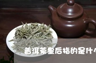 普洱茶皇后指的是什么/2023080151604