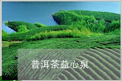 普洱茶益心泉/2023042842178