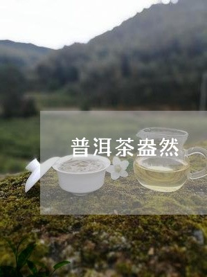 普洱茶盎然/2023090587269