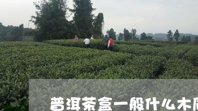 普洱茶盒一般什么木质/2023092757484