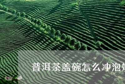 普洱茶盖碗怎么冲泡好喝/2023102592137