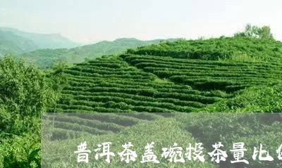 普洱茶盖碗投茶量比例是多少/2023110771606