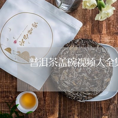 普洱茶盖碗视频大全集/2023110746190