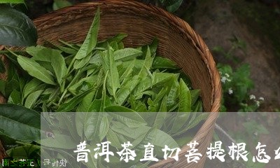 普洱茶直切菩提根怎么泡/2023110149271