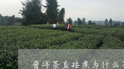 普洱茶直接煮为什么苦/2023062079482