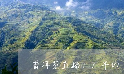 普洱茶直播07年的/2023101660613