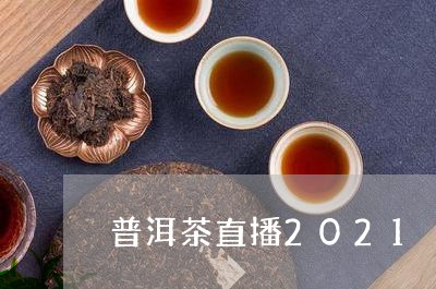 普洱茶直播2021/2023070902926