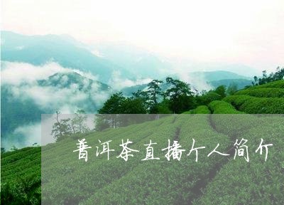 普洱茶直播个人简介/2023081677050