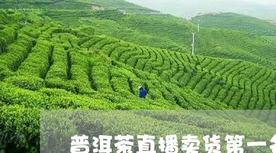 普洱茶直播卖货第一名/2023092682704