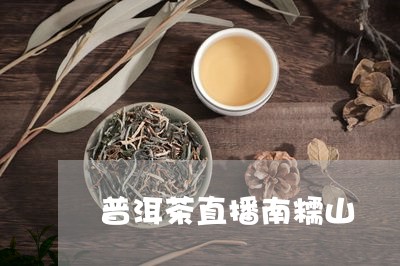 普洱茶直播南糯山/2023110323947