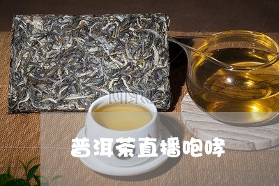 普洱茶直播咆哮/2023120313825