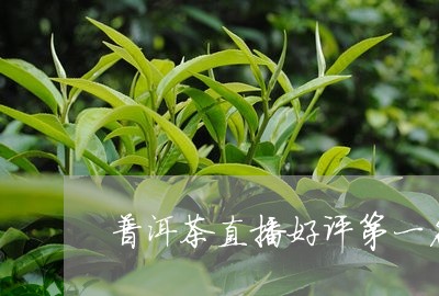 普洱茶直播好评第一名/2023072156059