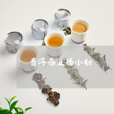 普洱茶直播小初/2023081828404