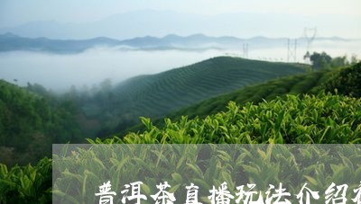 普洱茶直播玩法介绍视频/2023083042726