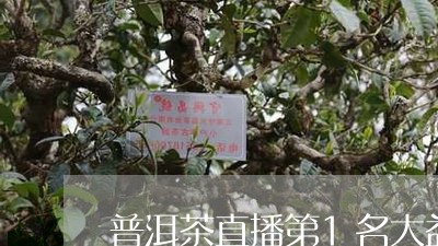 普洱茶直播第1名大益/2023110750694