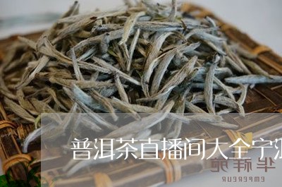 普洱茶直播间大全宁洱/2023080293817