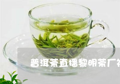 普洱茶直播黎明茶厂视频/2023121729492