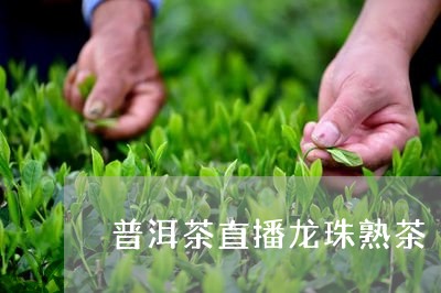 普洱茶直播龙珠熟茶/2023081649493